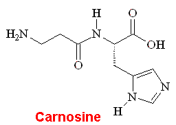 carnosine